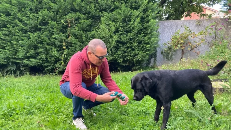 “Entre avoir une canne et avoir un chien, c’est une différence énorme” : comment le labrador Redji a changé la vie de Philippe, malvoyant