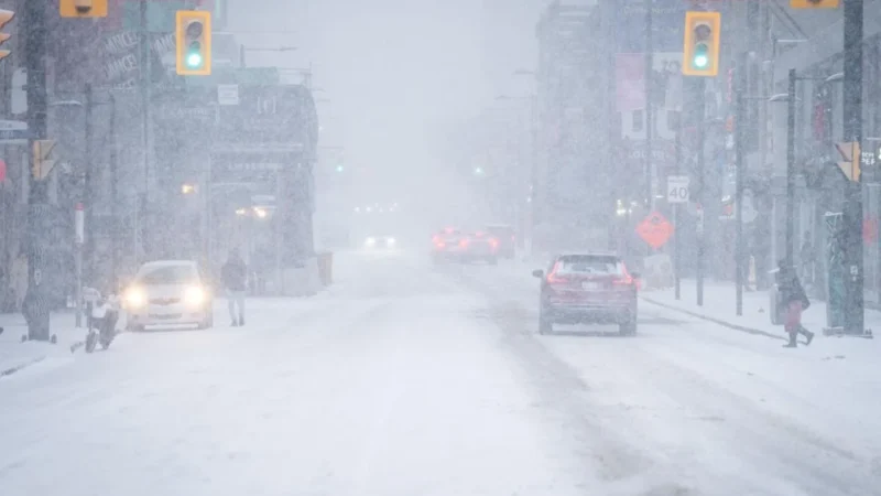Toronto snowstorm highlights accessibility issues, disability advocates say